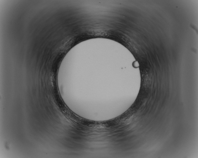 X0000098050643200804251105