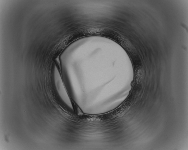 X0000098050644200804251105