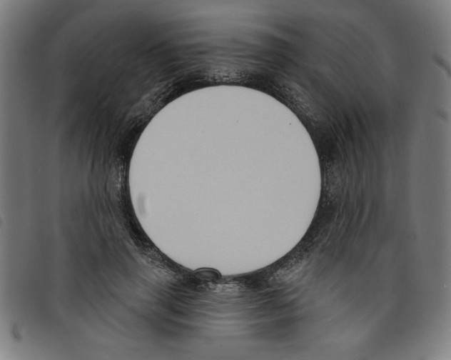 X0000098050645200804251105