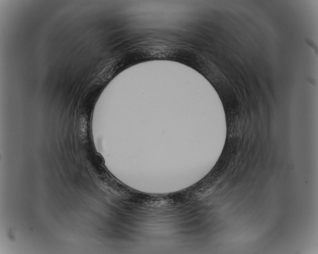 X0000098050646200804251105