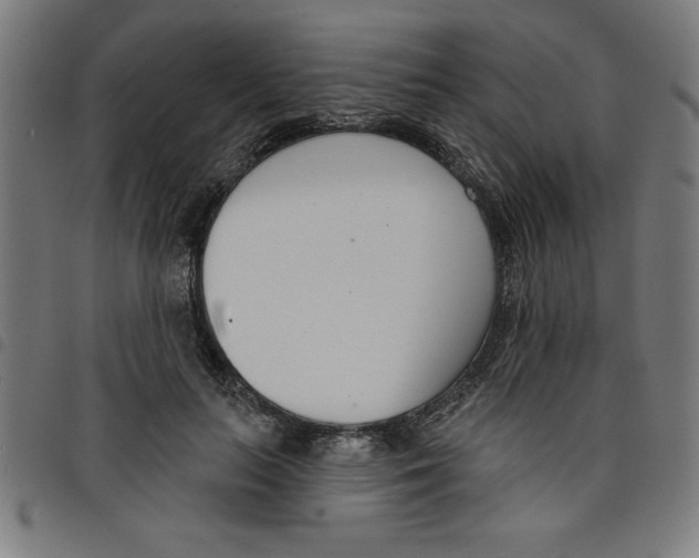 X0000098050647200804251105