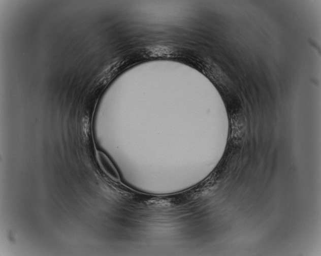 X0000098050648200804251105