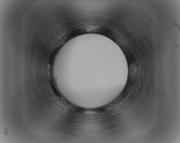 X0000098050650200804251105