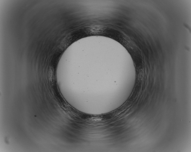 X0000098050651200804251105