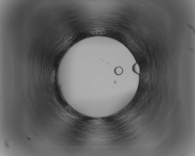 X0000098050652200804251105