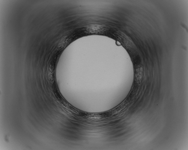 X0000098050653200804251105