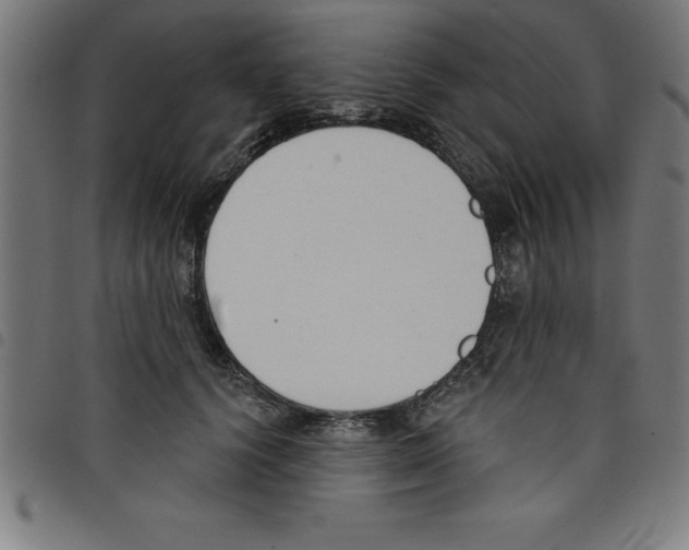 X0000098050656200804251105