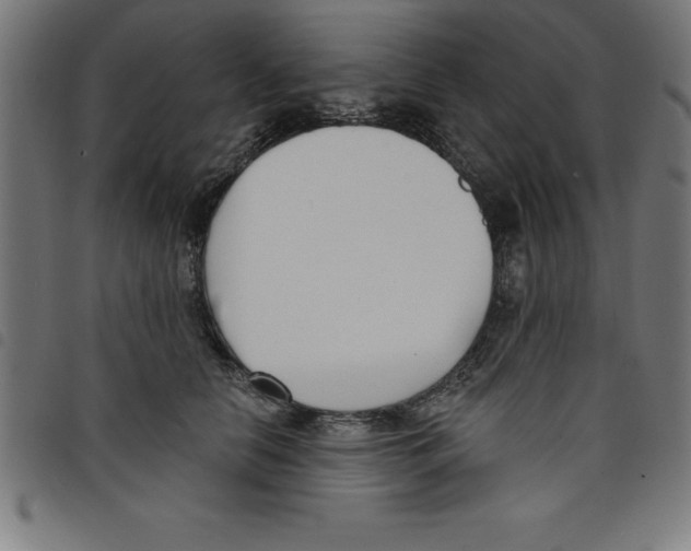 X0000098050658200804251105