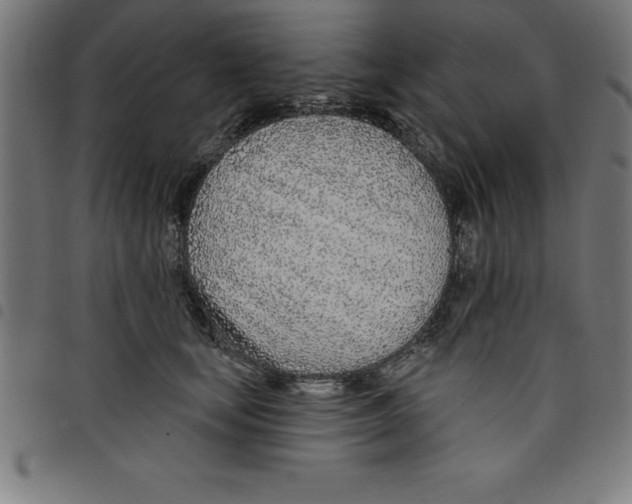 X0000098050659200804251105