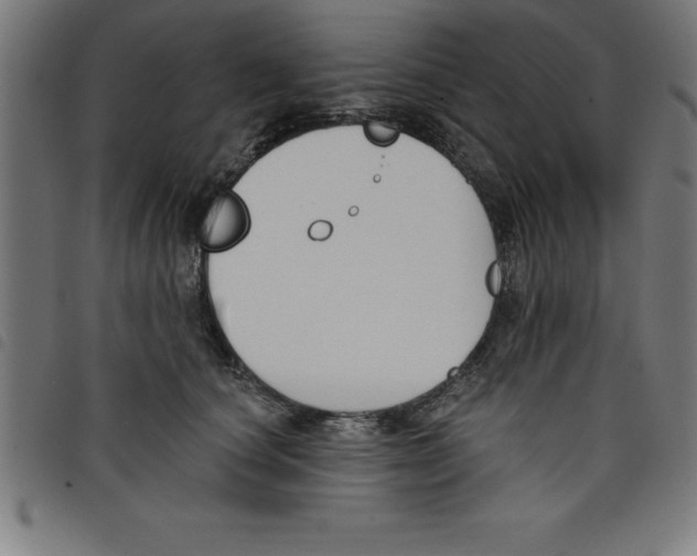 X0000098050660200804251105