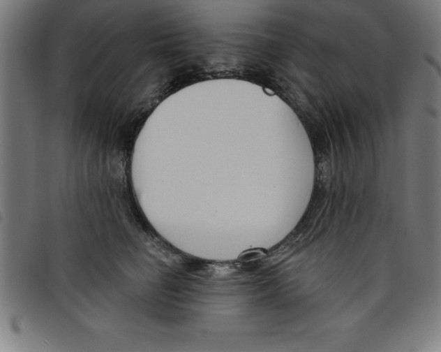 X0000098050662200804251105