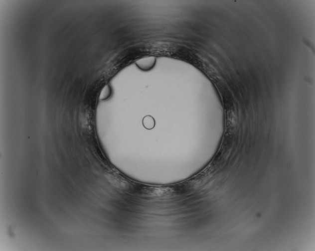 X0000098050663200804251105