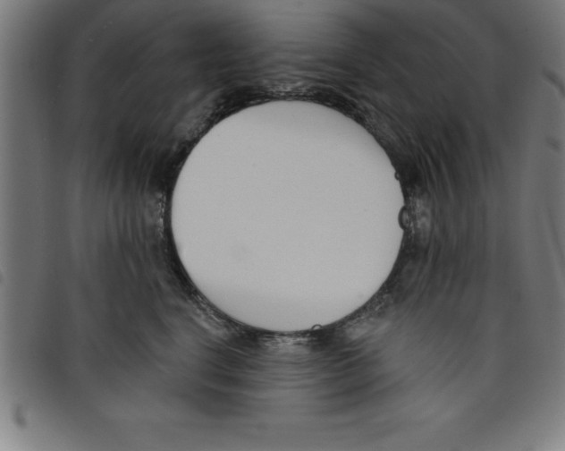 X0000098050664200804251105