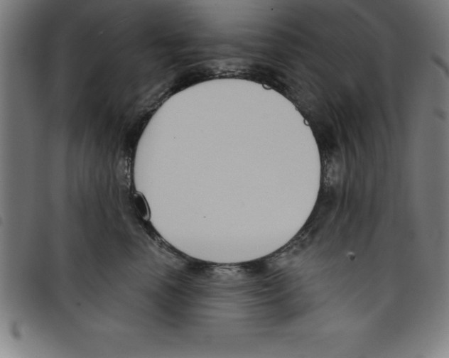 X0000098050666200804251105