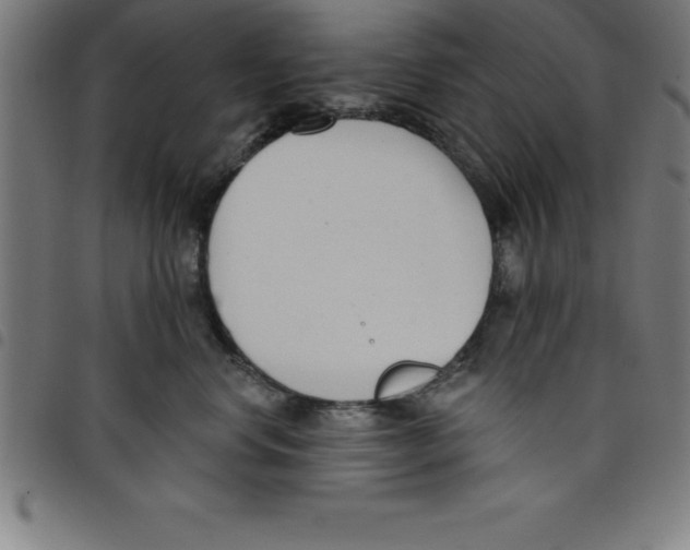 X0000098050668200804251105