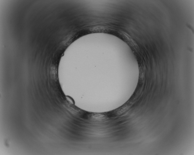 X0000098050669200804251105