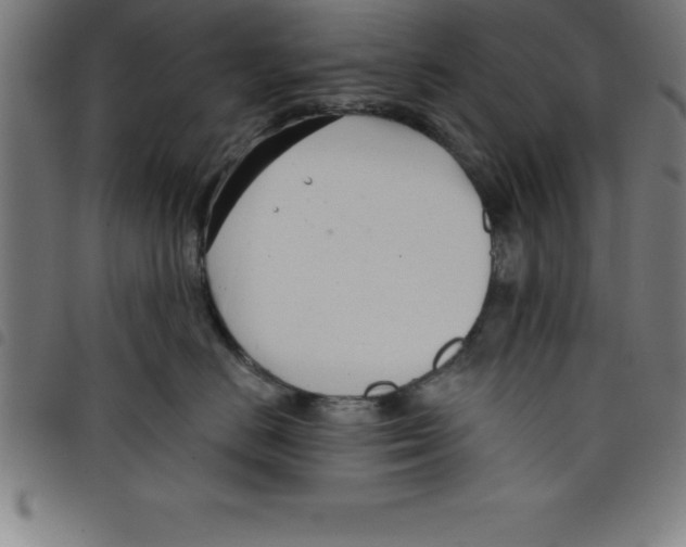 X0000098050670200804251105