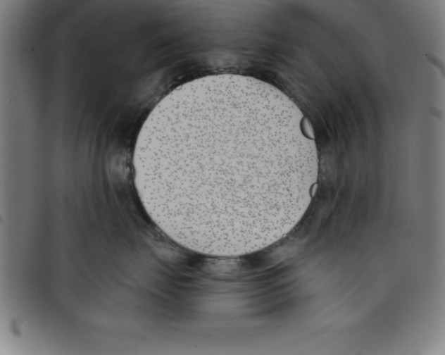 X0000098050671200804251105