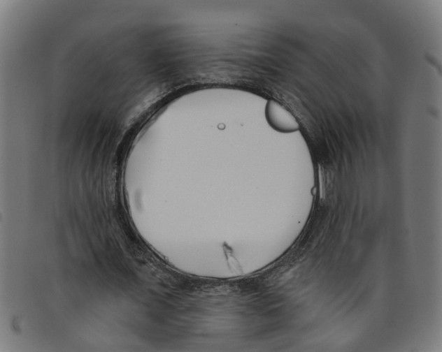 X0000098050675200804251104