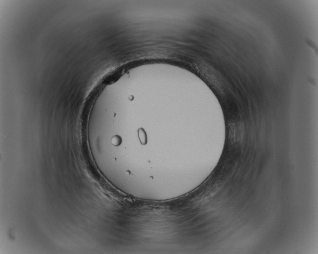 X0000098050676200804251104