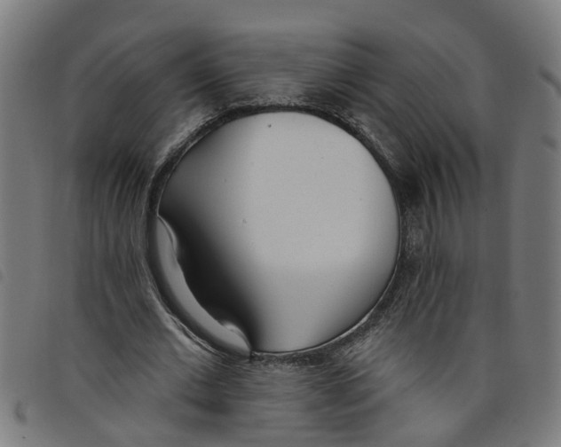 X0000098050677200804251104