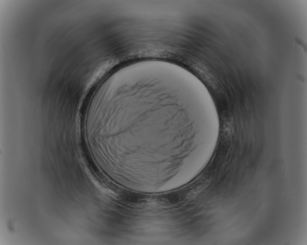 X0000098050678200804251104