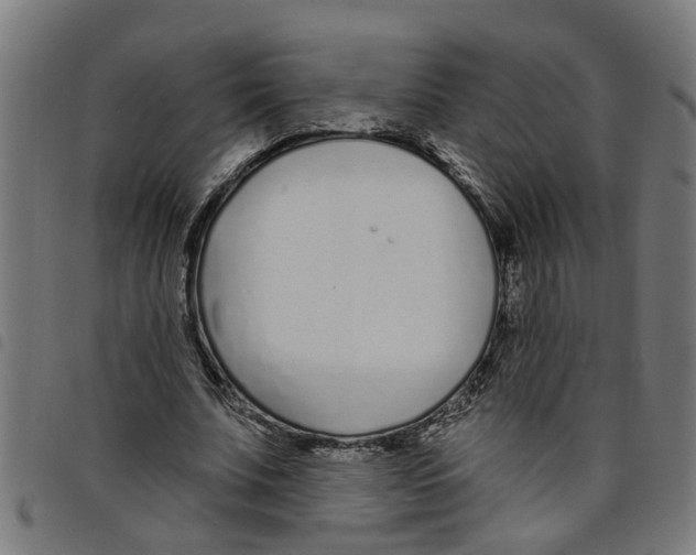 X0000098050679200804251104