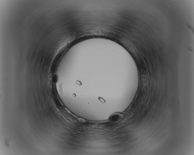 X0000098050680200804251104