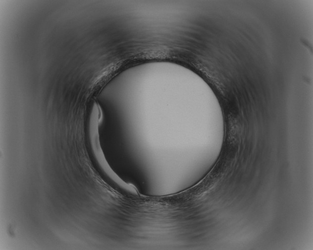 X0000098050681200804251104