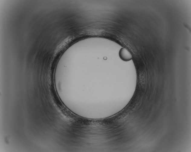 X0000098050682200804251104