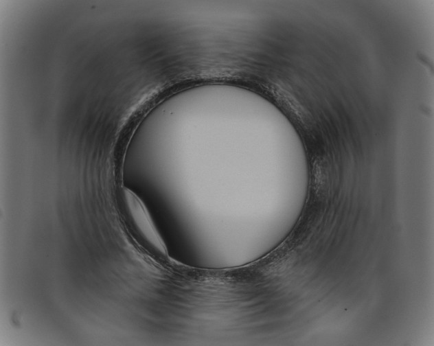 X0000098050684200804251104