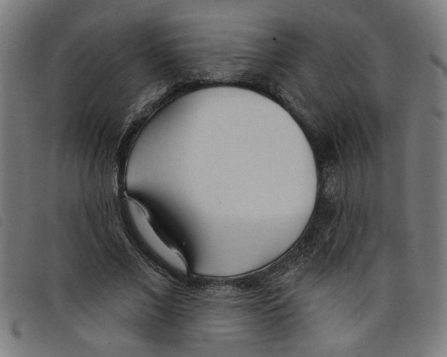 X0000098050685200804251104