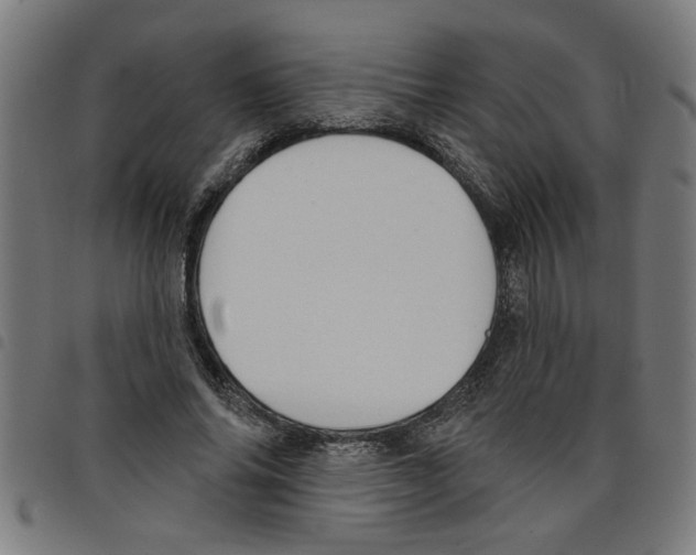 X0000098050686200804251104