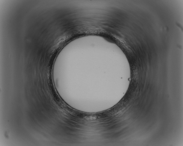 X0000098050687200804251104