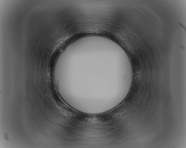 X0000098050688200804251104