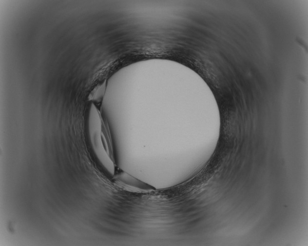 X0000098050689200804251104