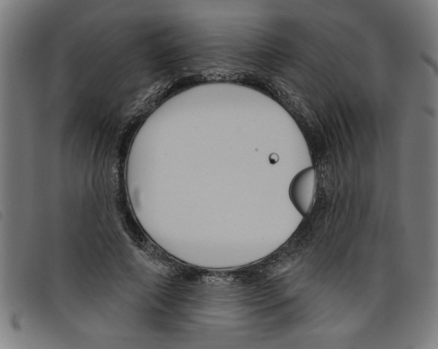 X0000098050690200804251104