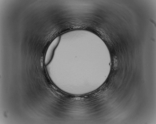 X0000098050691200804251104