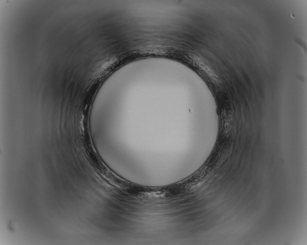 X0000098050692200804251104