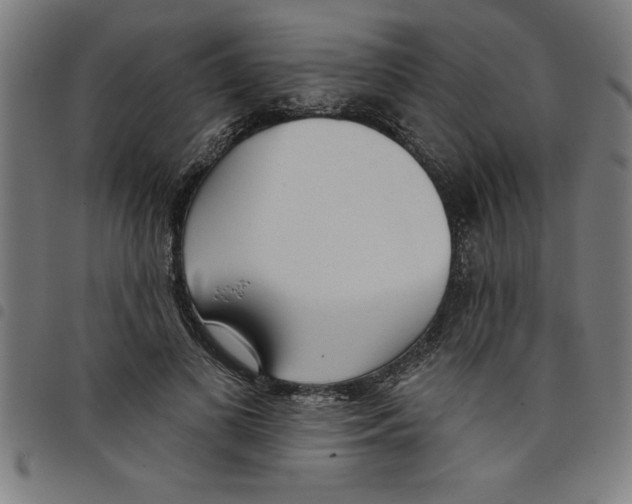 X0000098050693200804251104