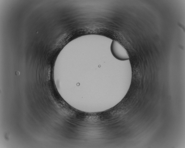 X0000098050694200804251104