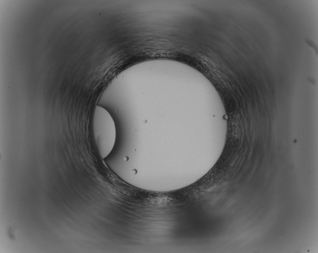 X0000098050695200804251104