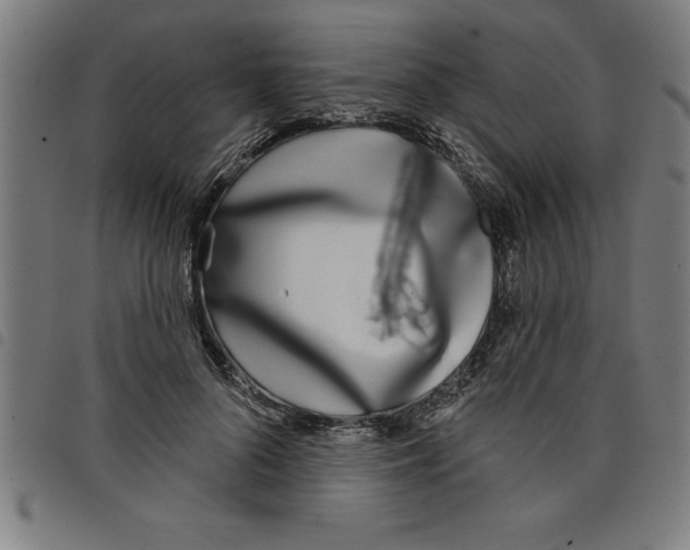 X0000098050696200804251104