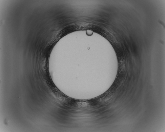 X0000098050698200804251104