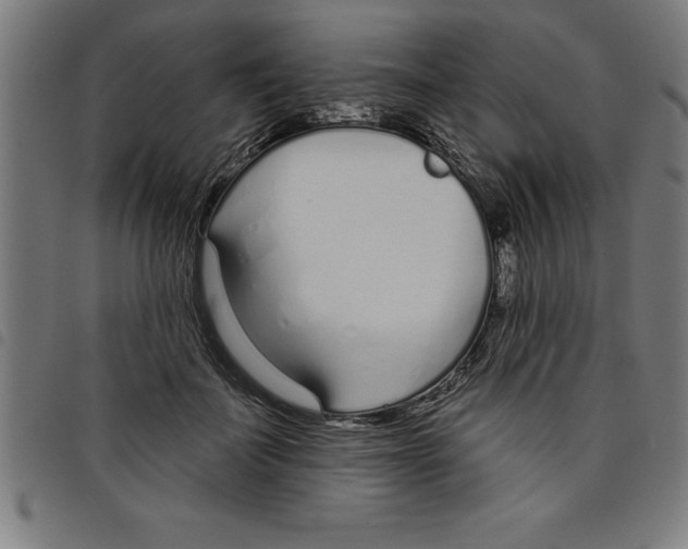 X0000098050699200804251104