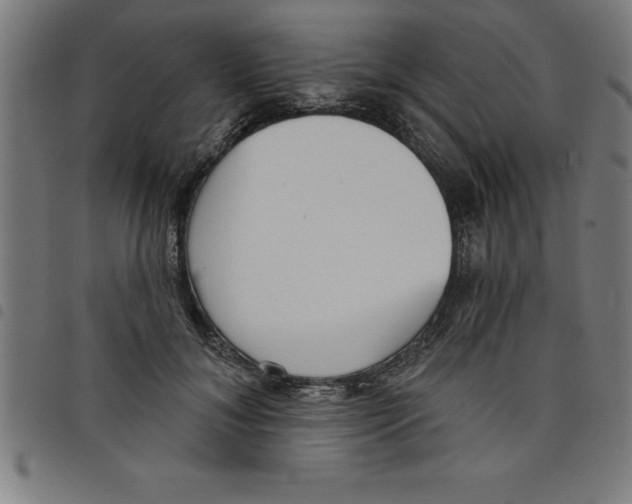 X0000098050700200804251104