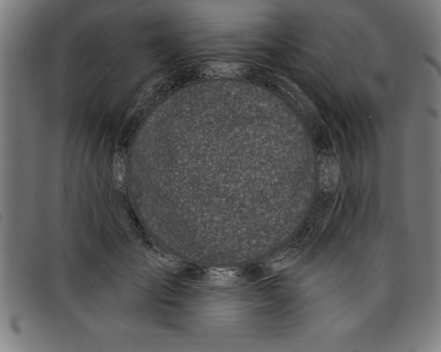 X0000098050701200804251104