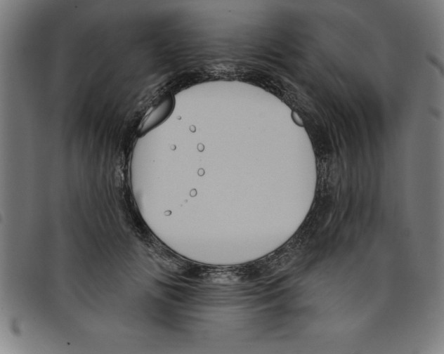 X0000098050702200804251104