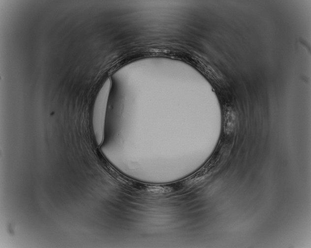 X0000098050707200804251104