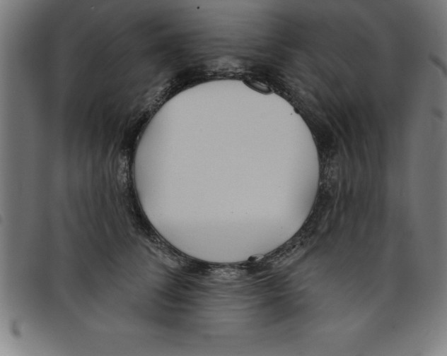 X0000098050708200804251104